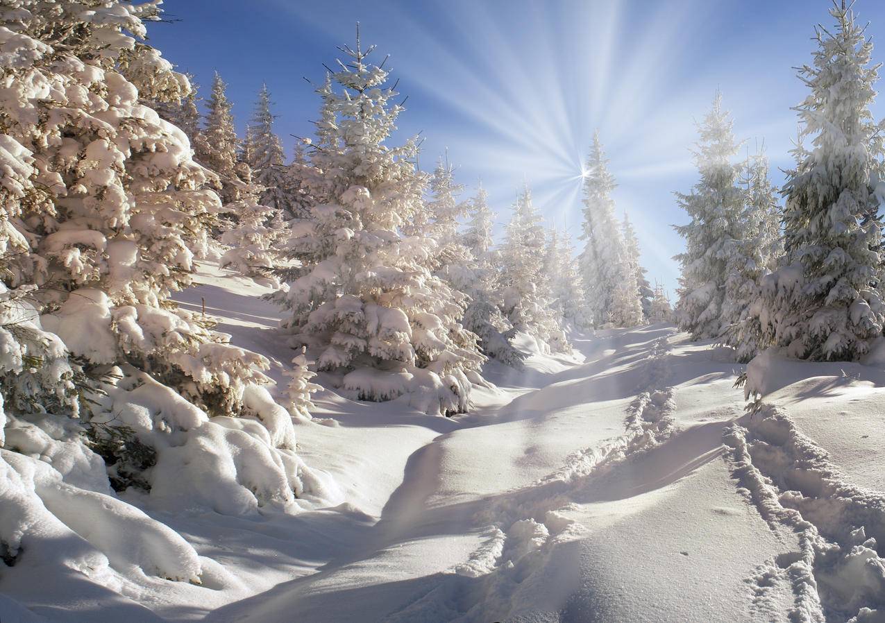 冬季雪风景4K壁纸