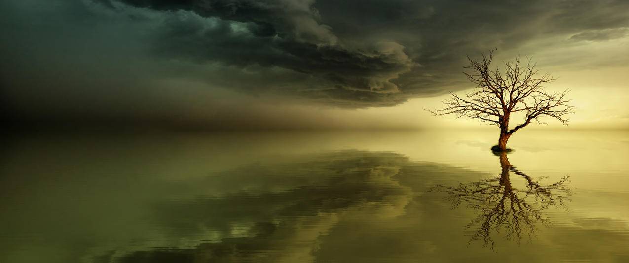 天空,海,日落,树,魔法,黎明,3440x1440风景壁纸