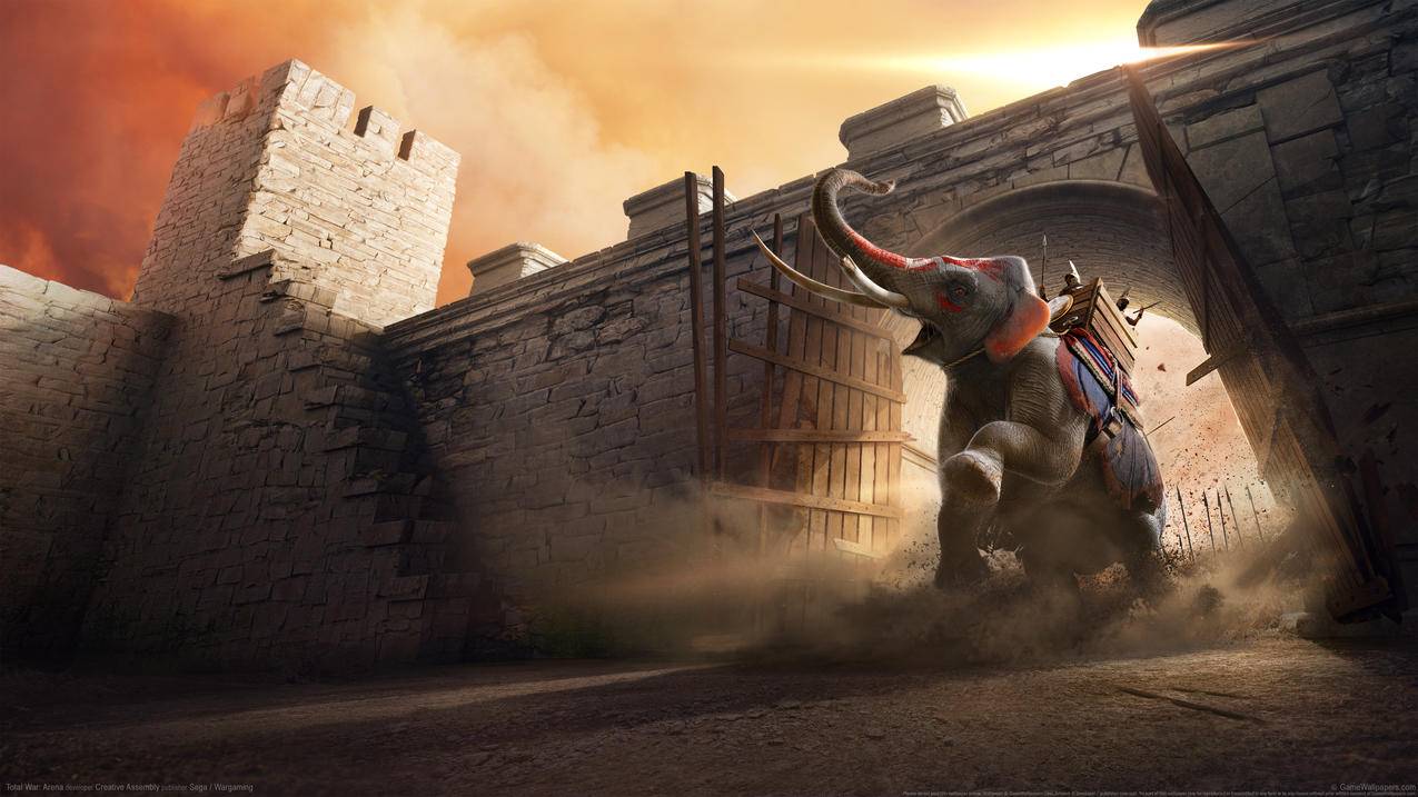 《全面战争:竞技场/Total,War ARENA》,4K游戏壁纸