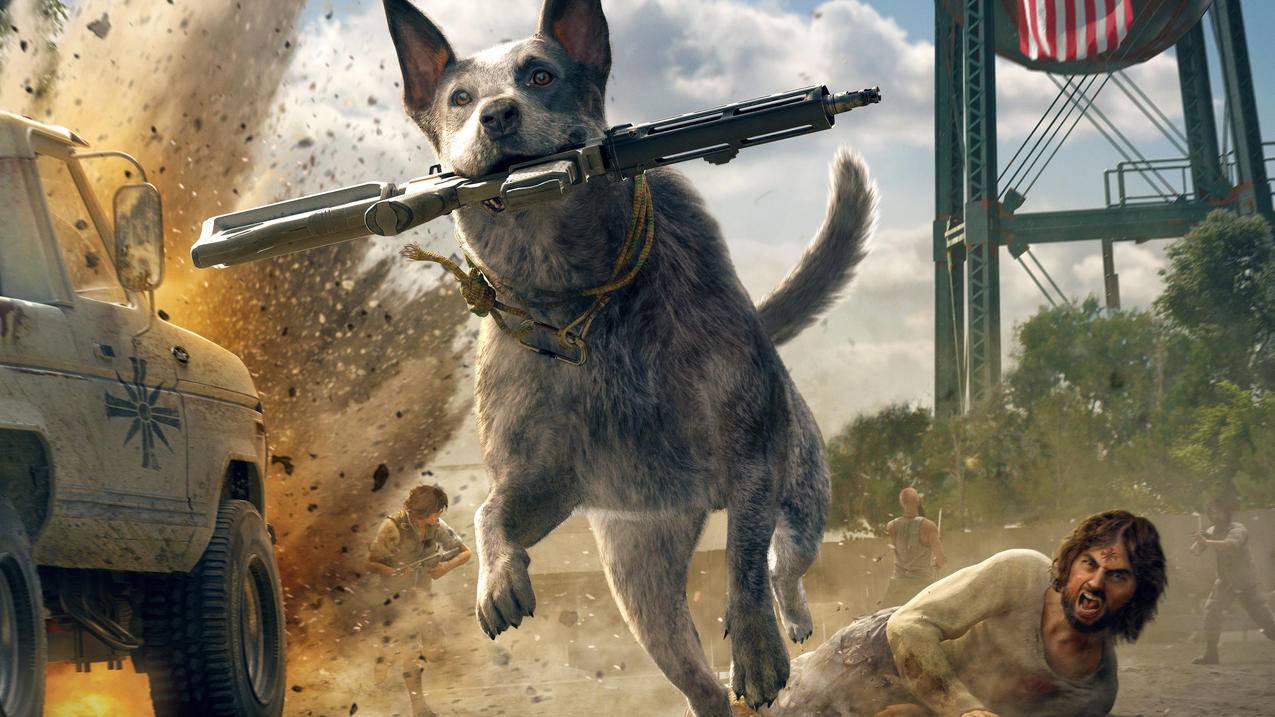 澳洲牧牛犬,孤岛惊魂5,高清壁纸,4k桌面壁纸