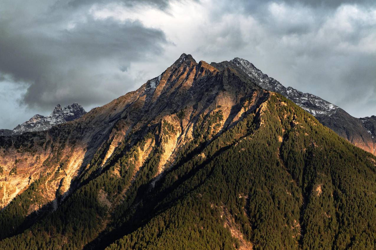 青山