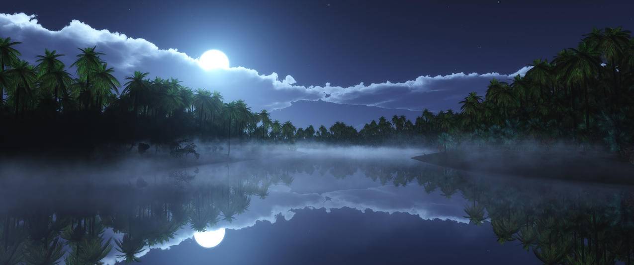热带的寒冷的夜晚3440x1440风景壁纸