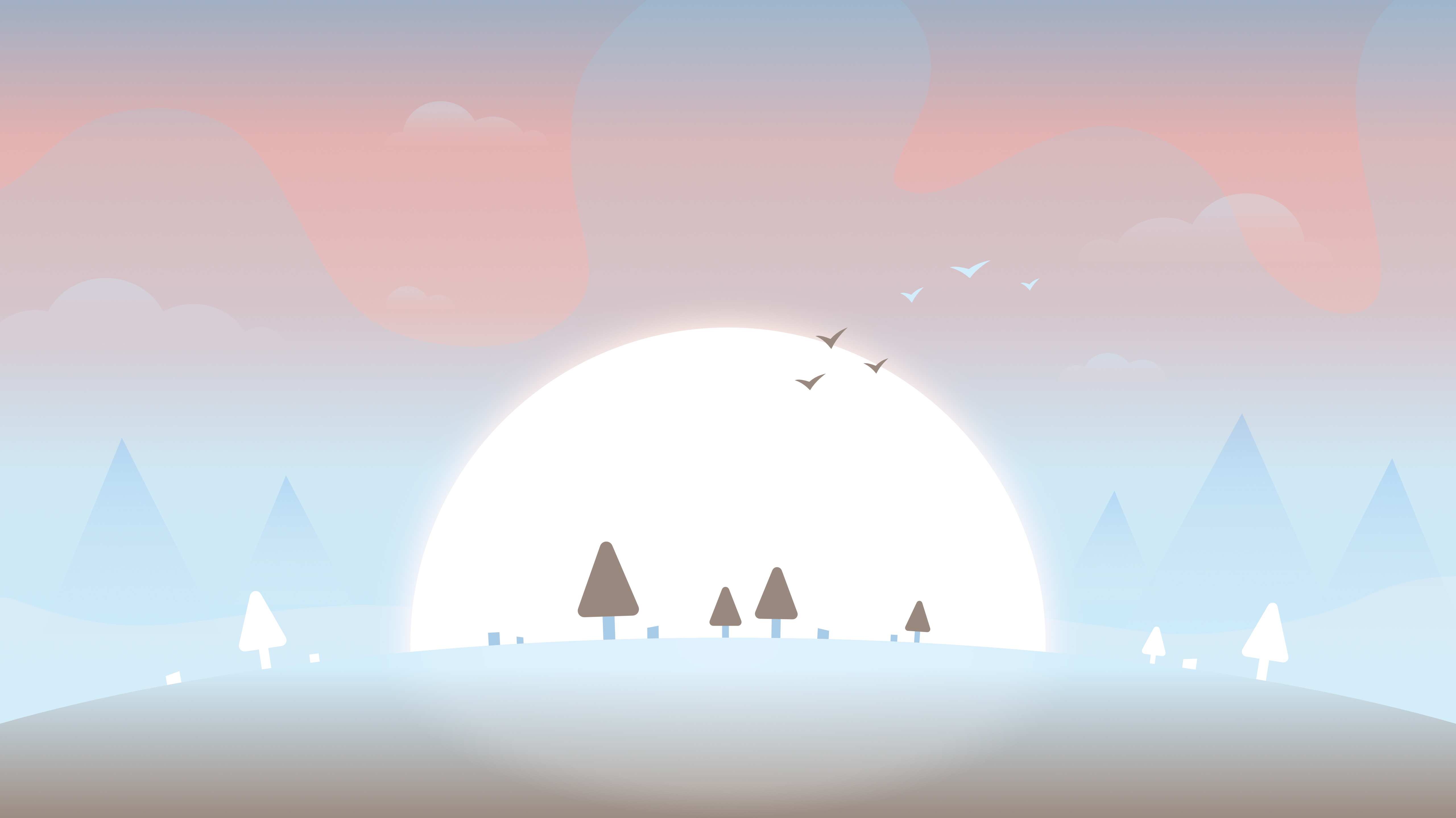 天空,太阳,树,鸟儿,简约极简主义5k壁纸5120x2880