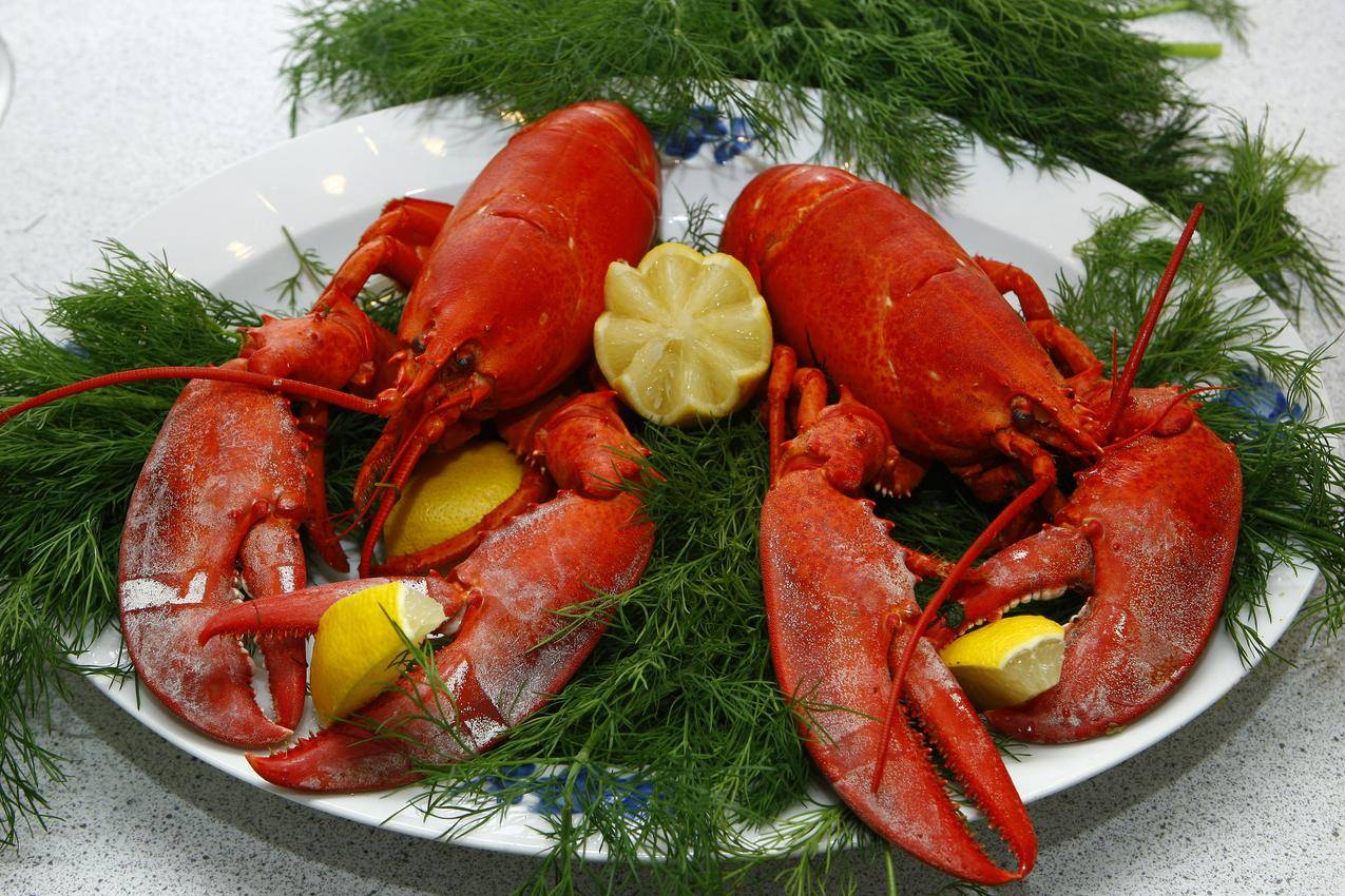 龙虾,海鲜,美味佳肴,4K图片