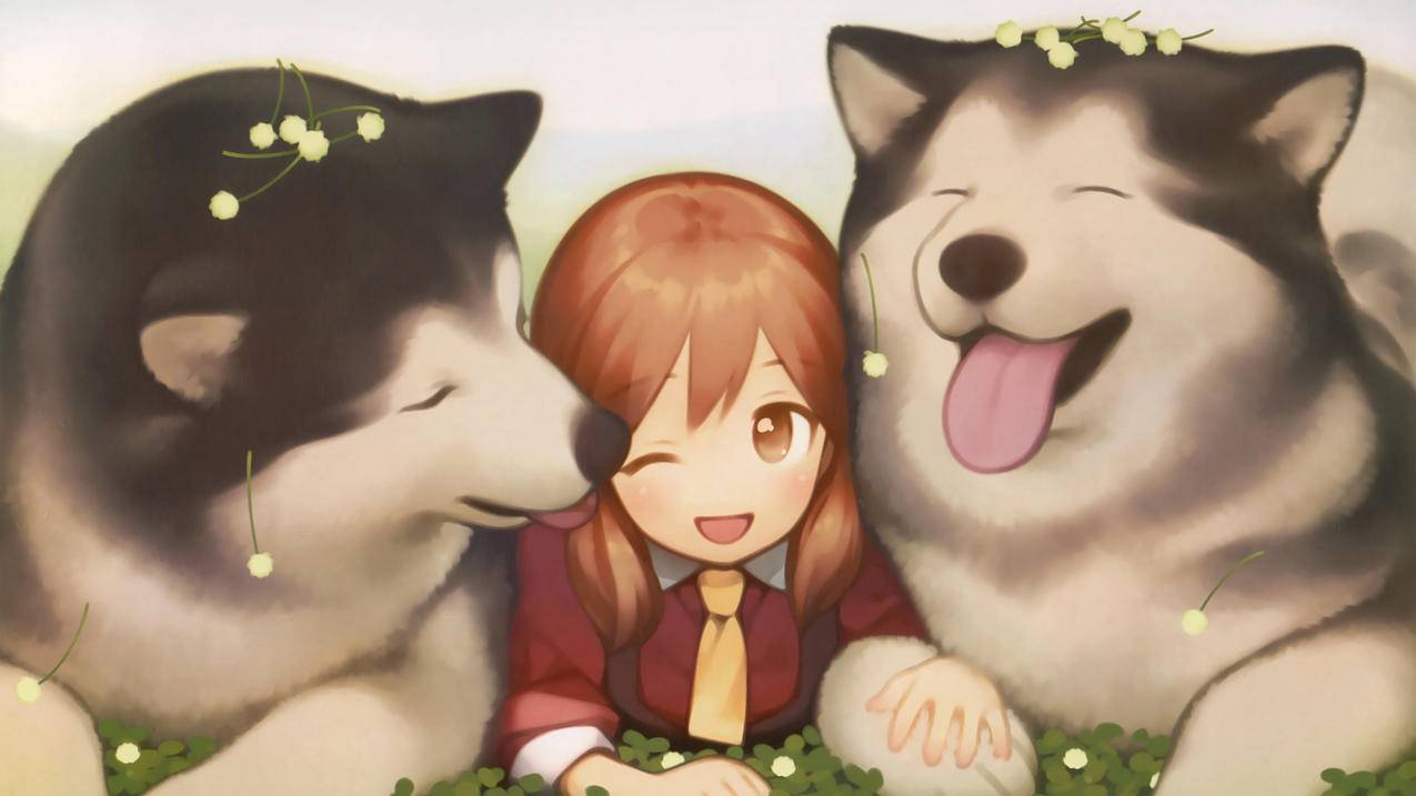 小女孩,狗,哈士奇,4k动漫高清壁纸