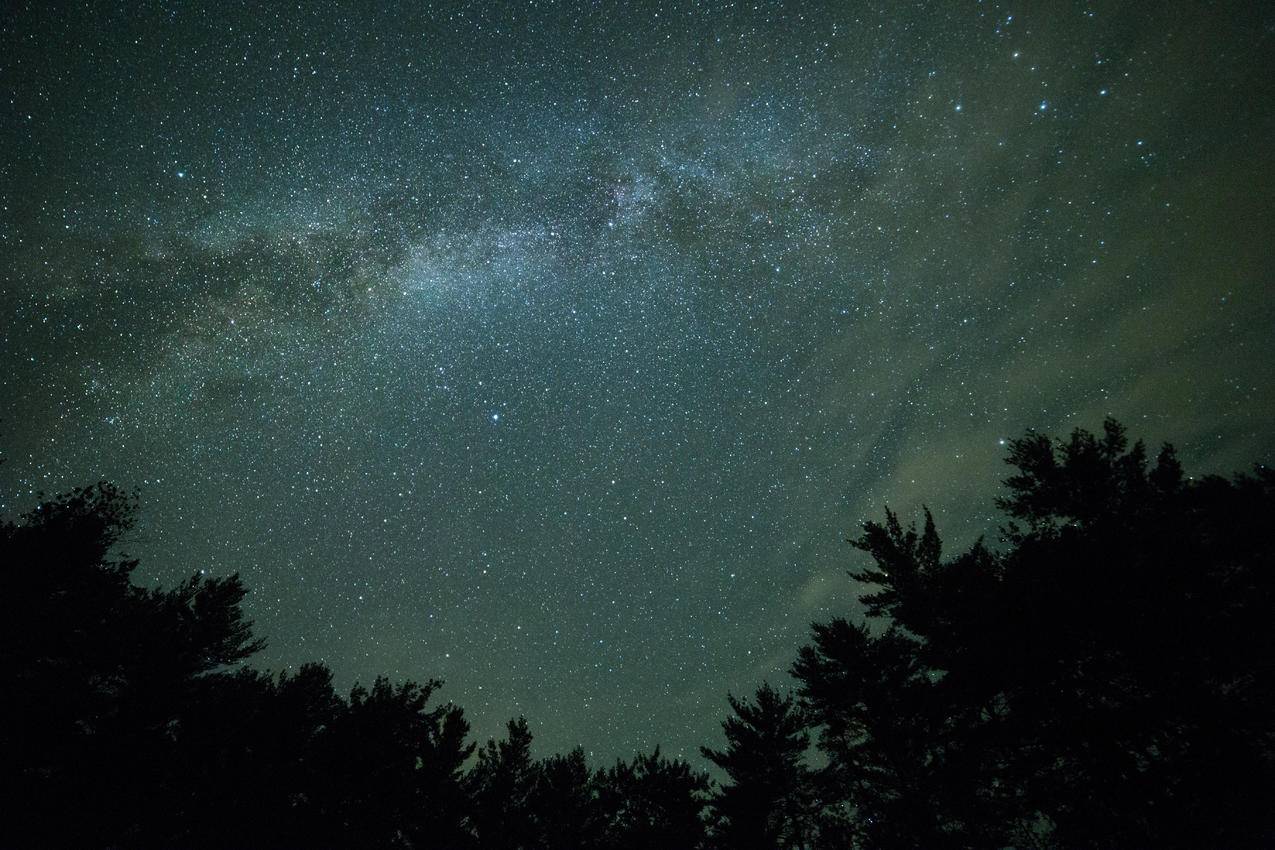 树影星空