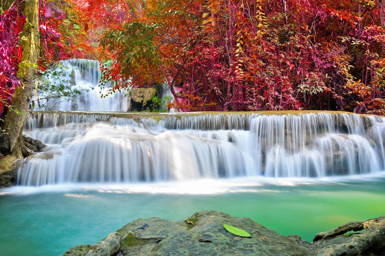 秋天,森林,瀑布风景,4K壁纸