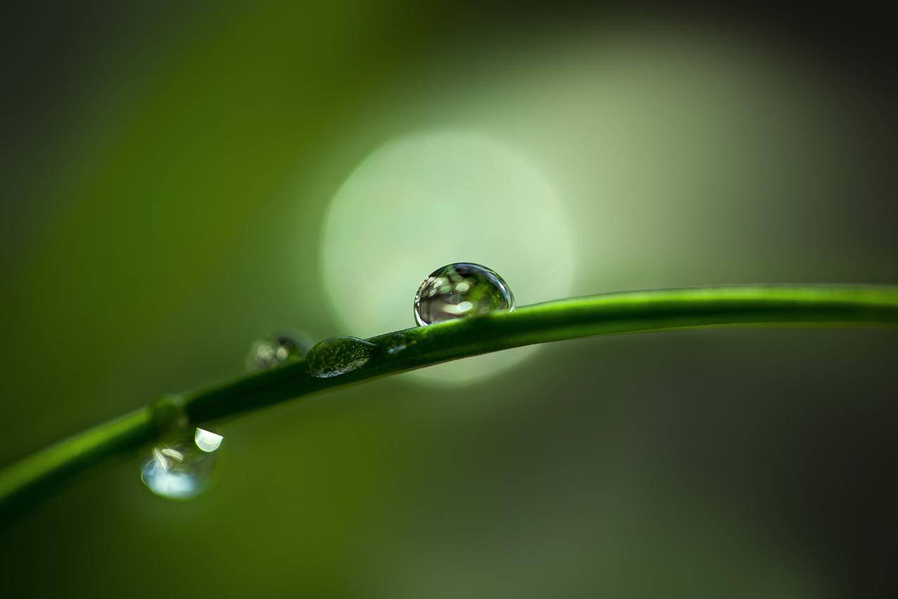 水滴晶莹5K护眼壁纸图片