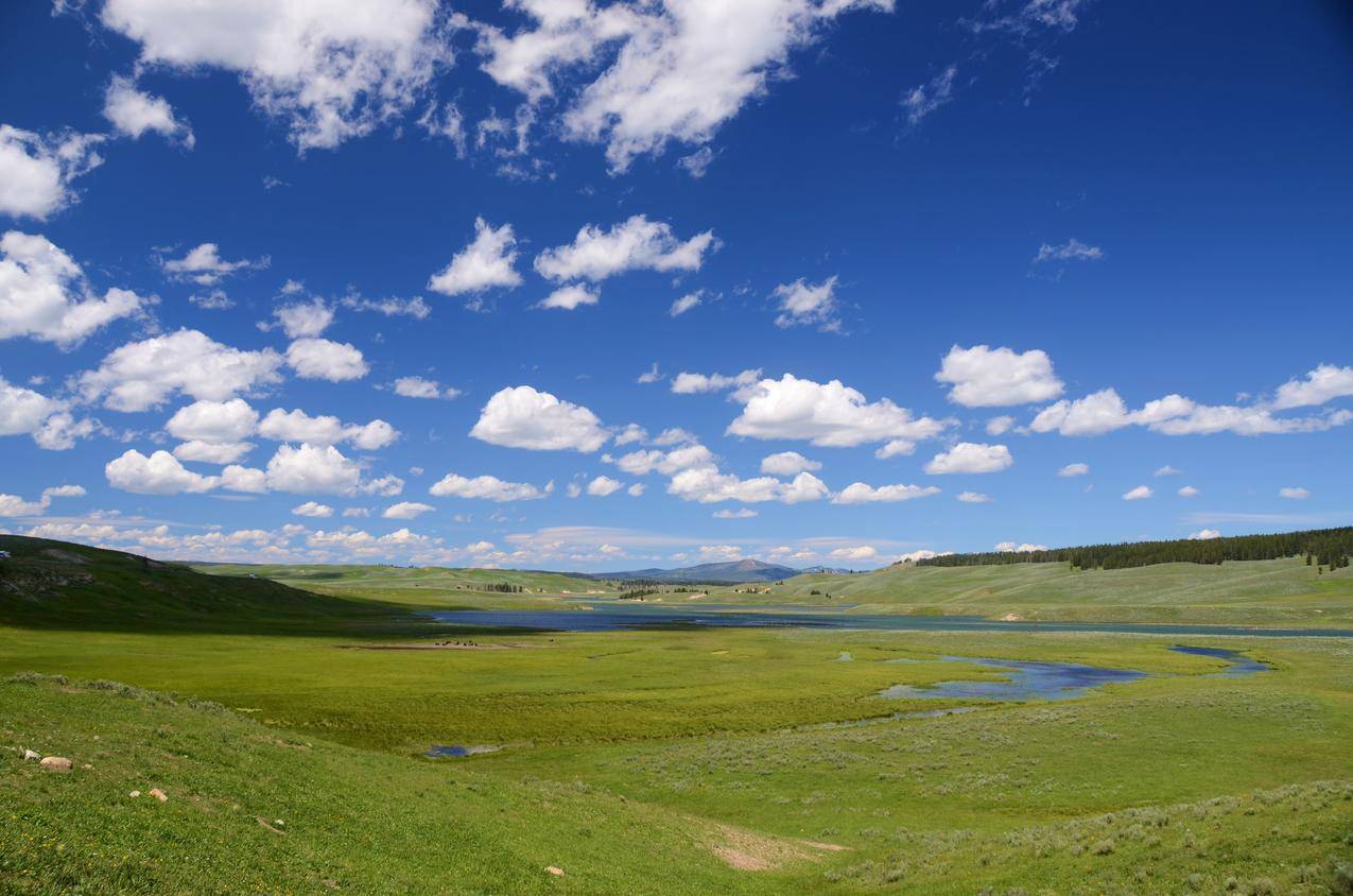 黄石公园,山谷,绿色草地,天空,蓝色,云,全景,4K壁纸