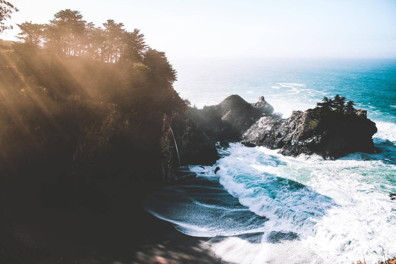 海洋,绿树,海岸,5k壁纸