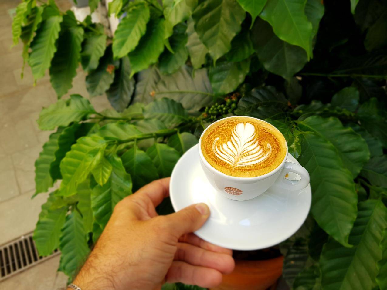 怀抱陶瓷杯的人