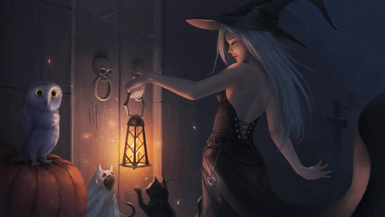 万圣节快乐,Halloween,猫,漂亮女孩,4K超清壁纸