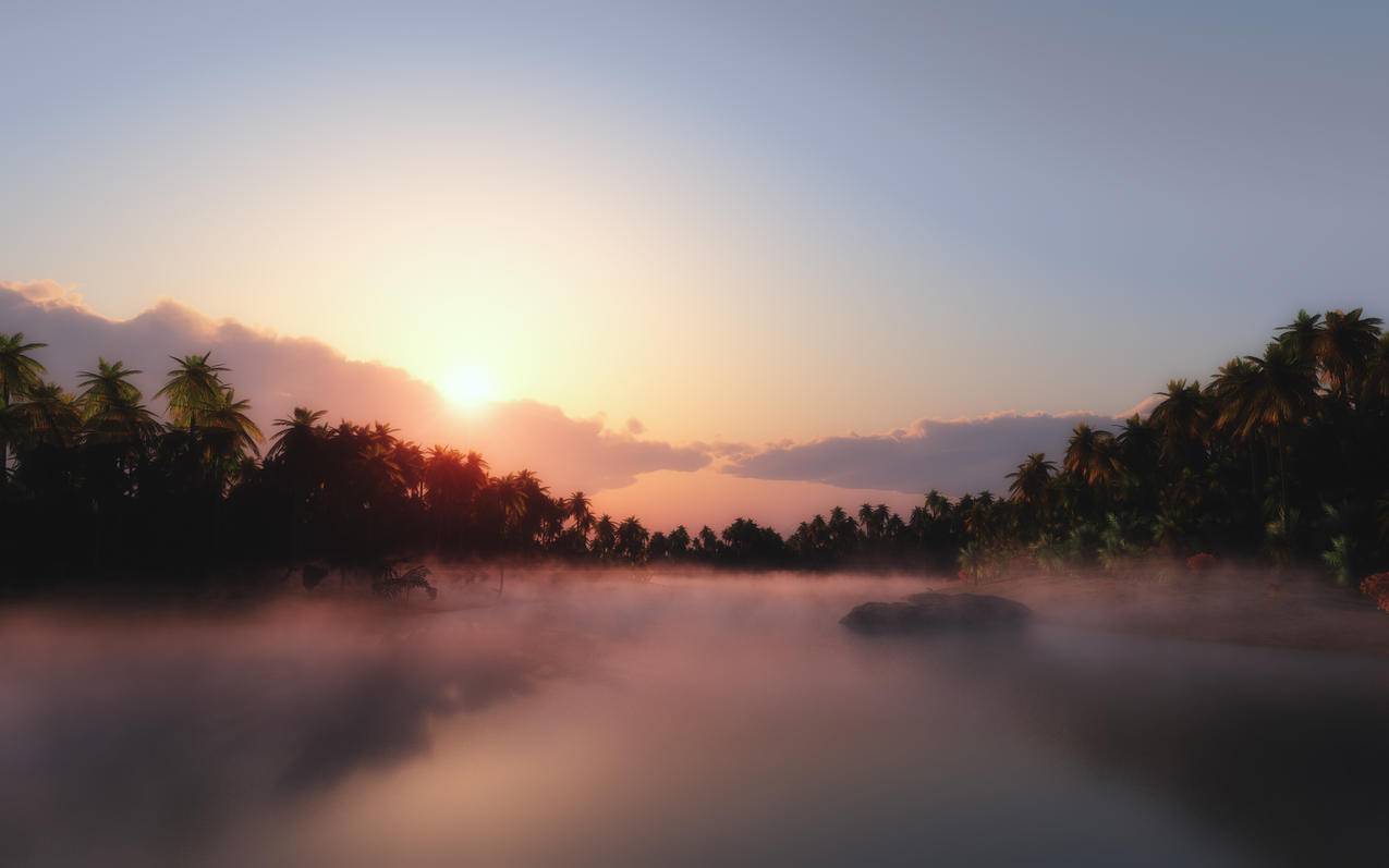 湖,树林,日出风景4k壁纸