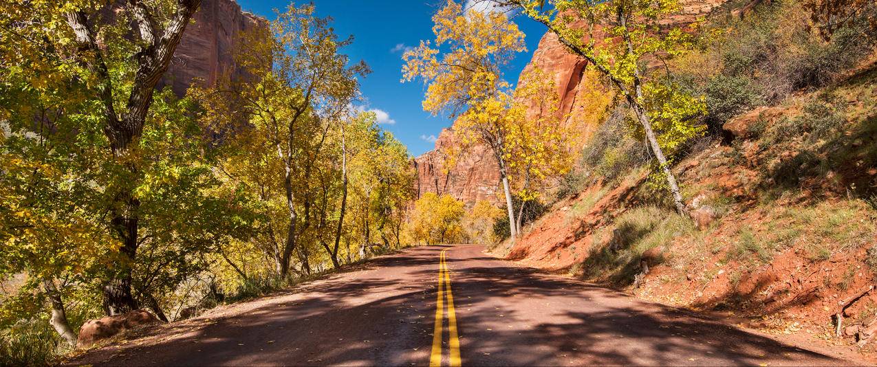 美国锡安国家公园Zion,NP路风景3440x1440壁纸