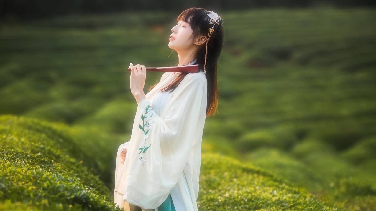 茶园,唯美古风,古装美女,4K美女壁纸