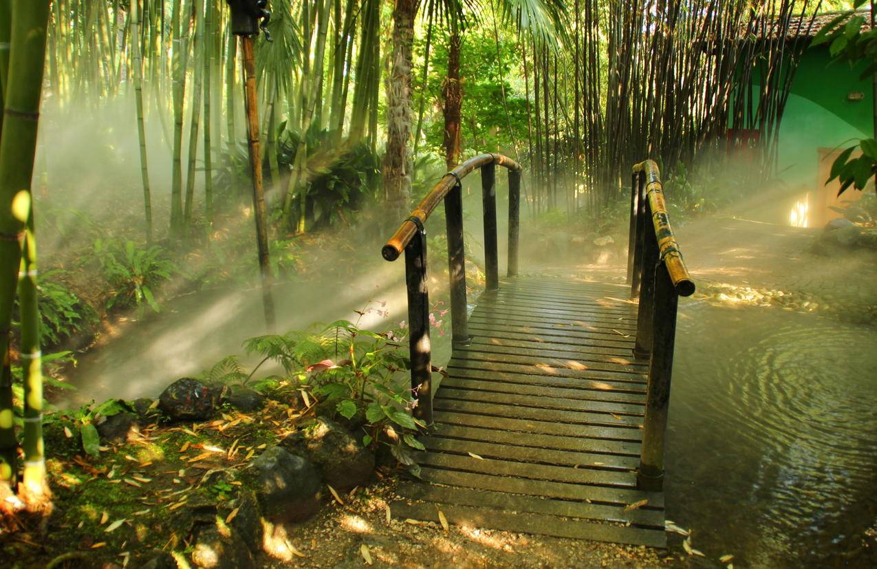竹桥4K风景壁纸