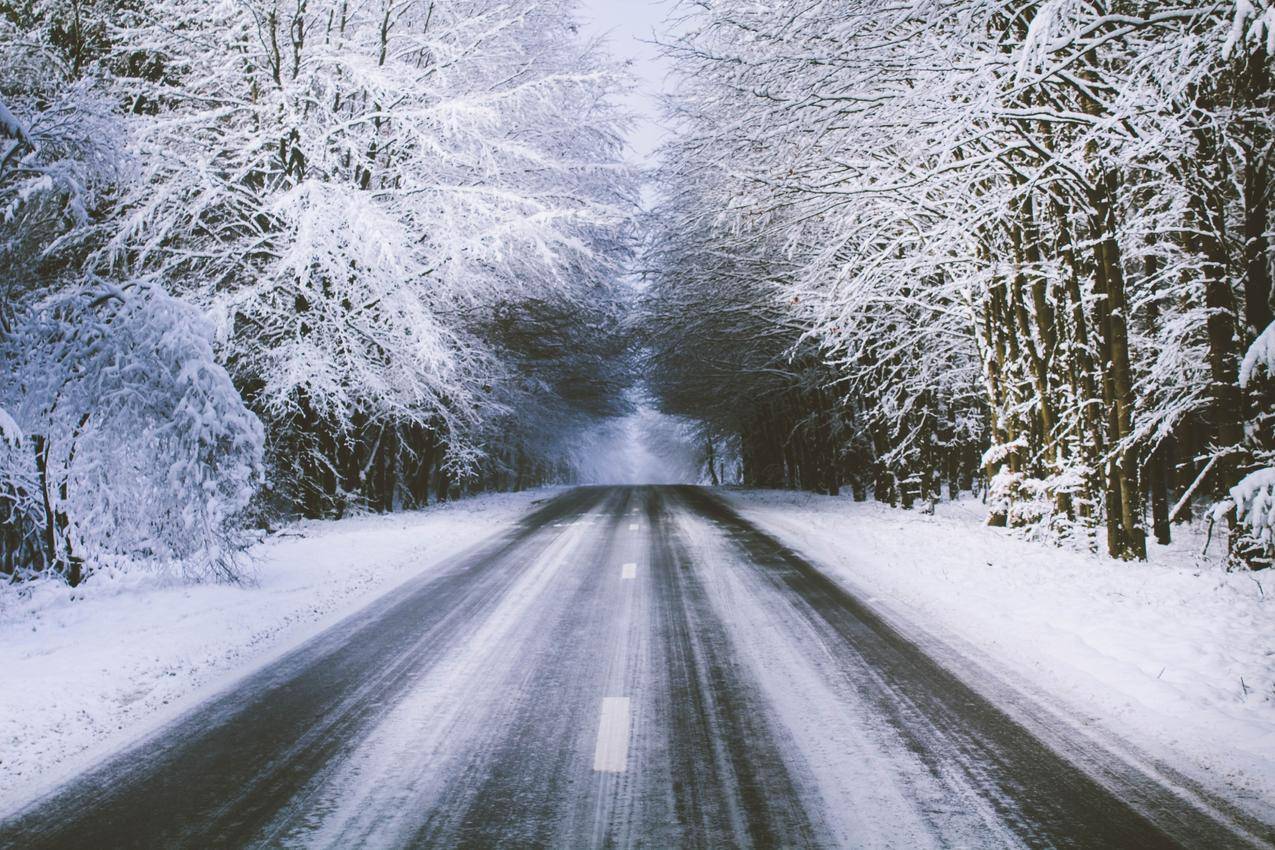 雪景,树,道路,5k风景高清壁纸