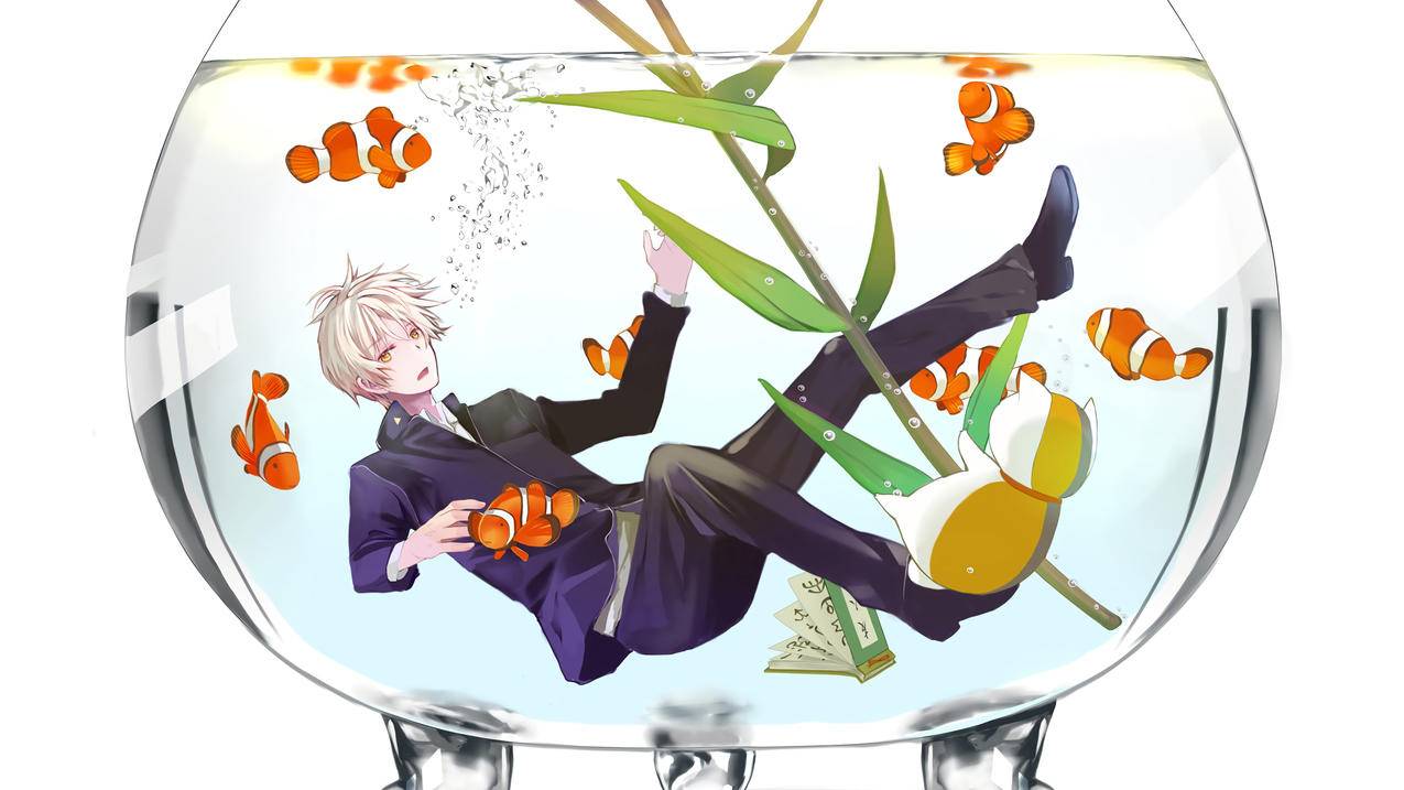 鱼缸,花,《夏日友人帐》4K高清动漫壁纸