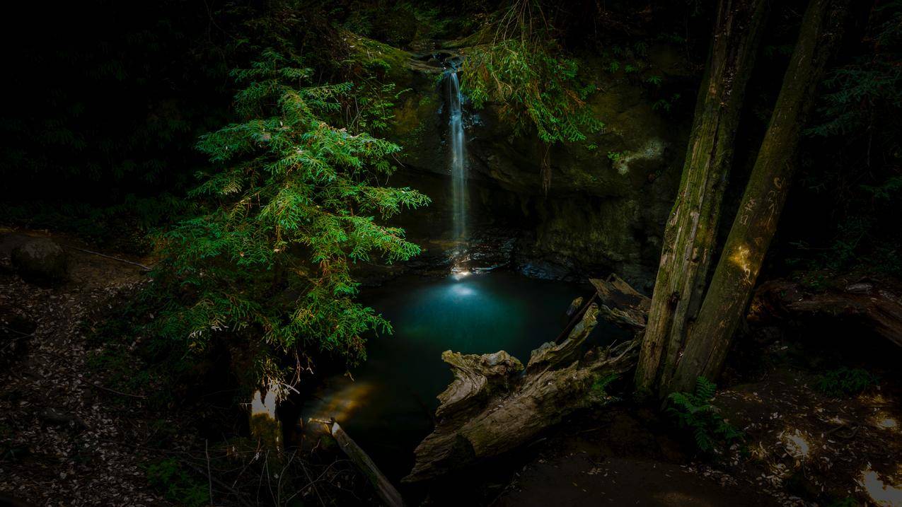 森林,山谷,美丽瀑布风景5K壁纸