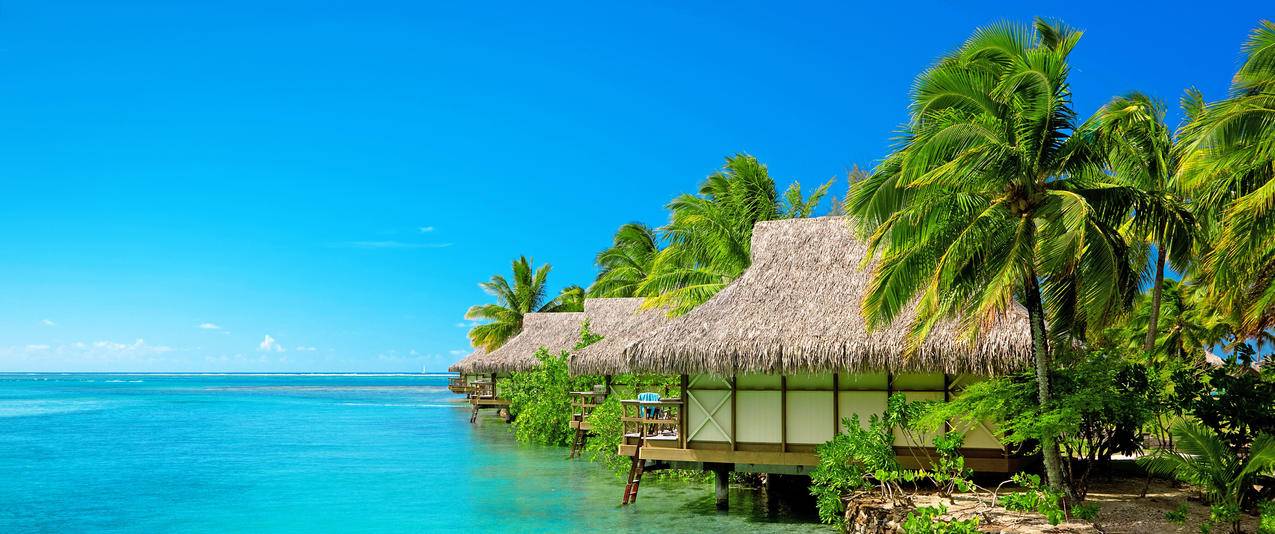 马尔代夫,棕榈树,平房,海边风景,马尔代夫3440x1440壁纸