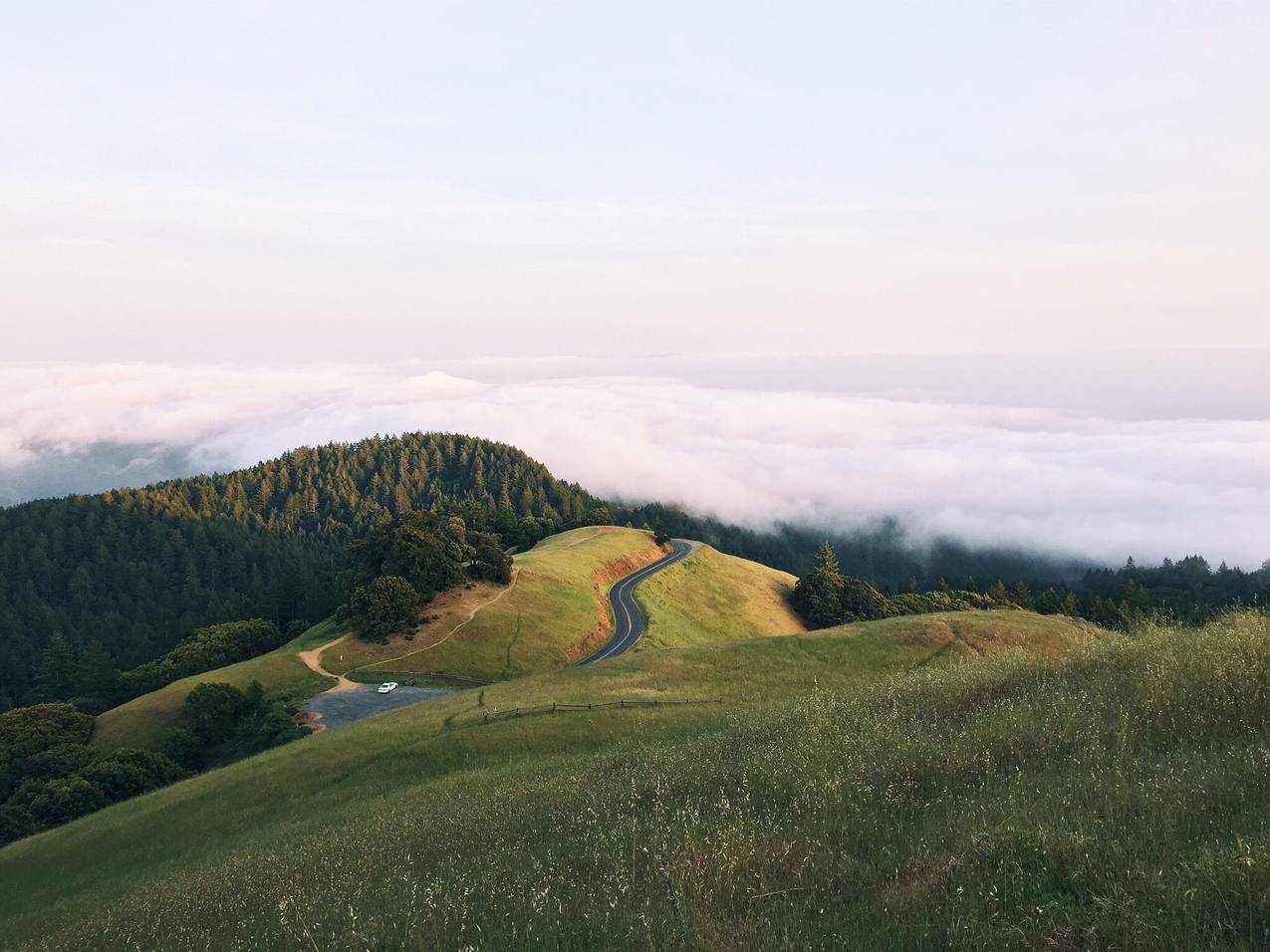 山坡,弯道,绿色,高清壁纸