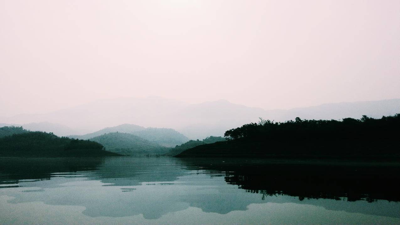 水体附近的绿色森林