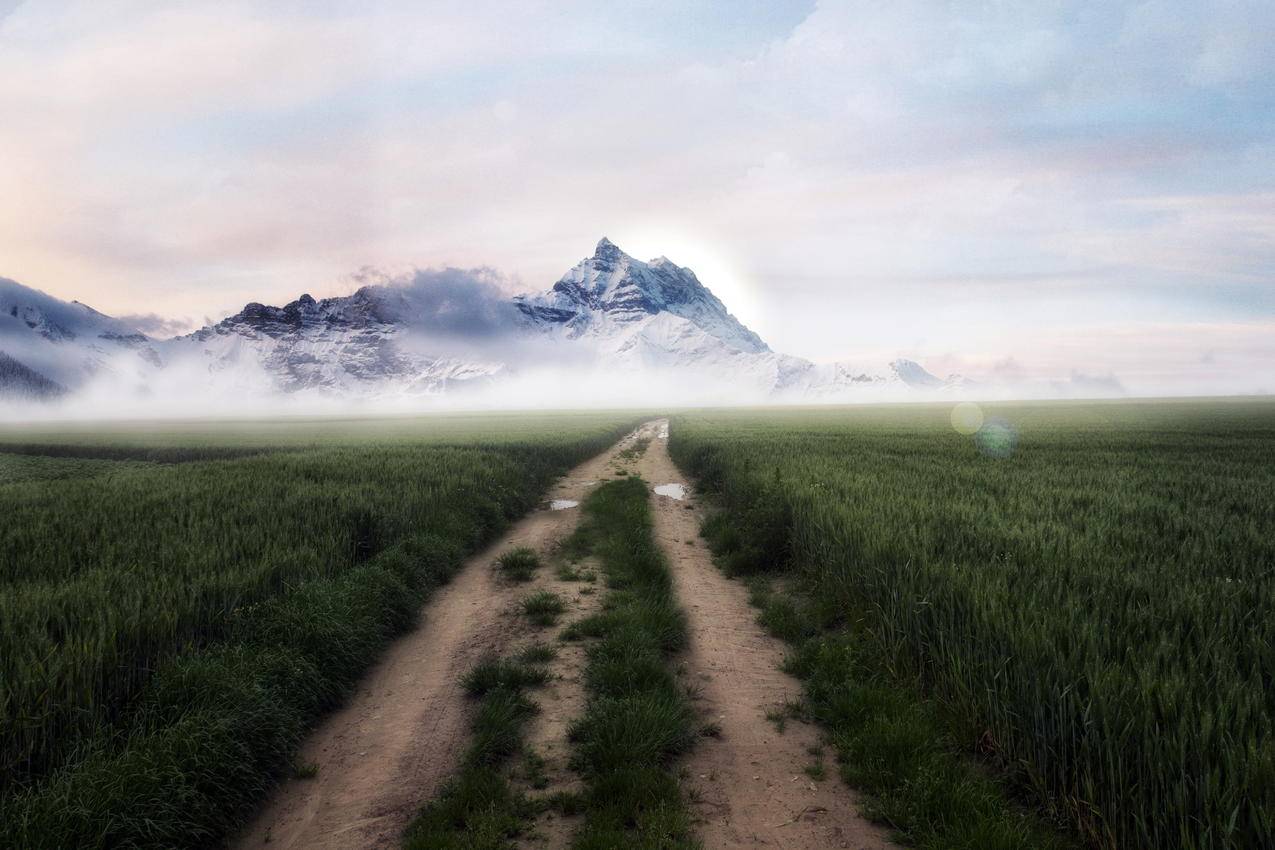 道路,雾,5K风景壁纸
