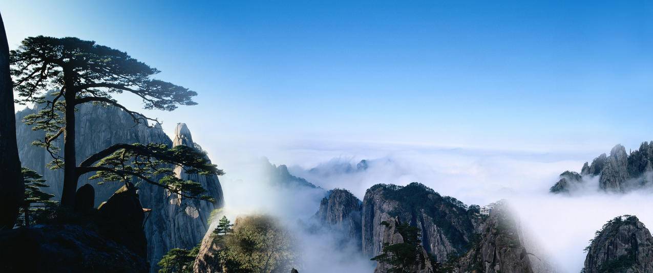 云雾中的黄山迎客松3440x1440壁纸