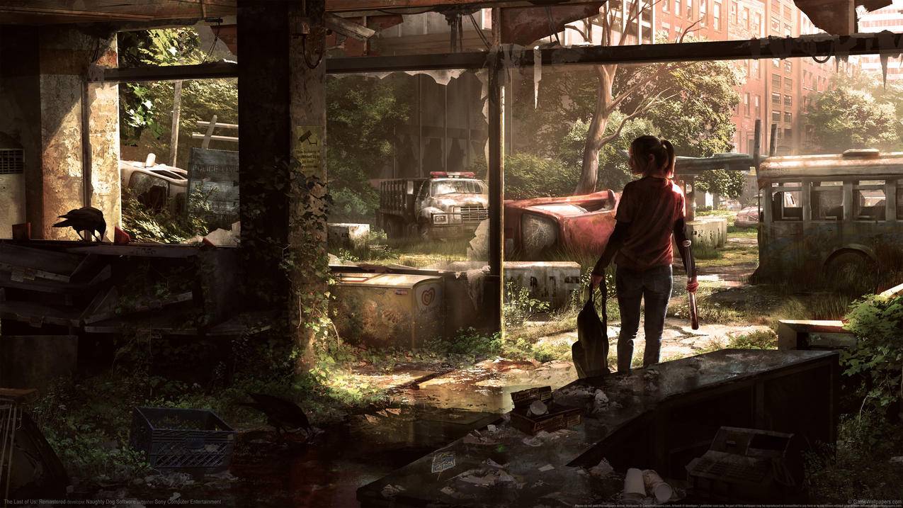 《美国末日:重制版/The,Last,of,Us:Remastered》,4K游戏高清壁纸