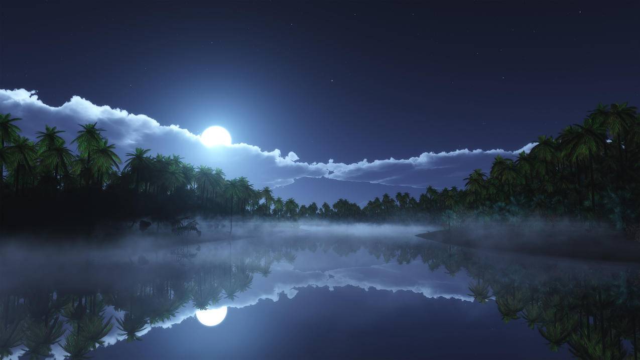 热带的寒冷的夜晚,4k风景高清壁纸