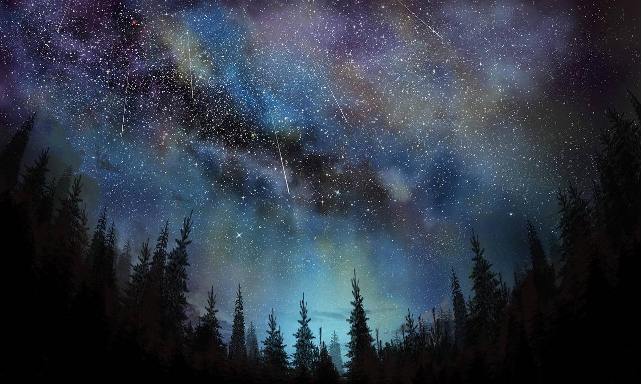 星空,星夜,流星,树林,星空,4k高清风景壁纸