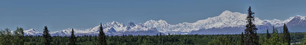 青山旁绿树