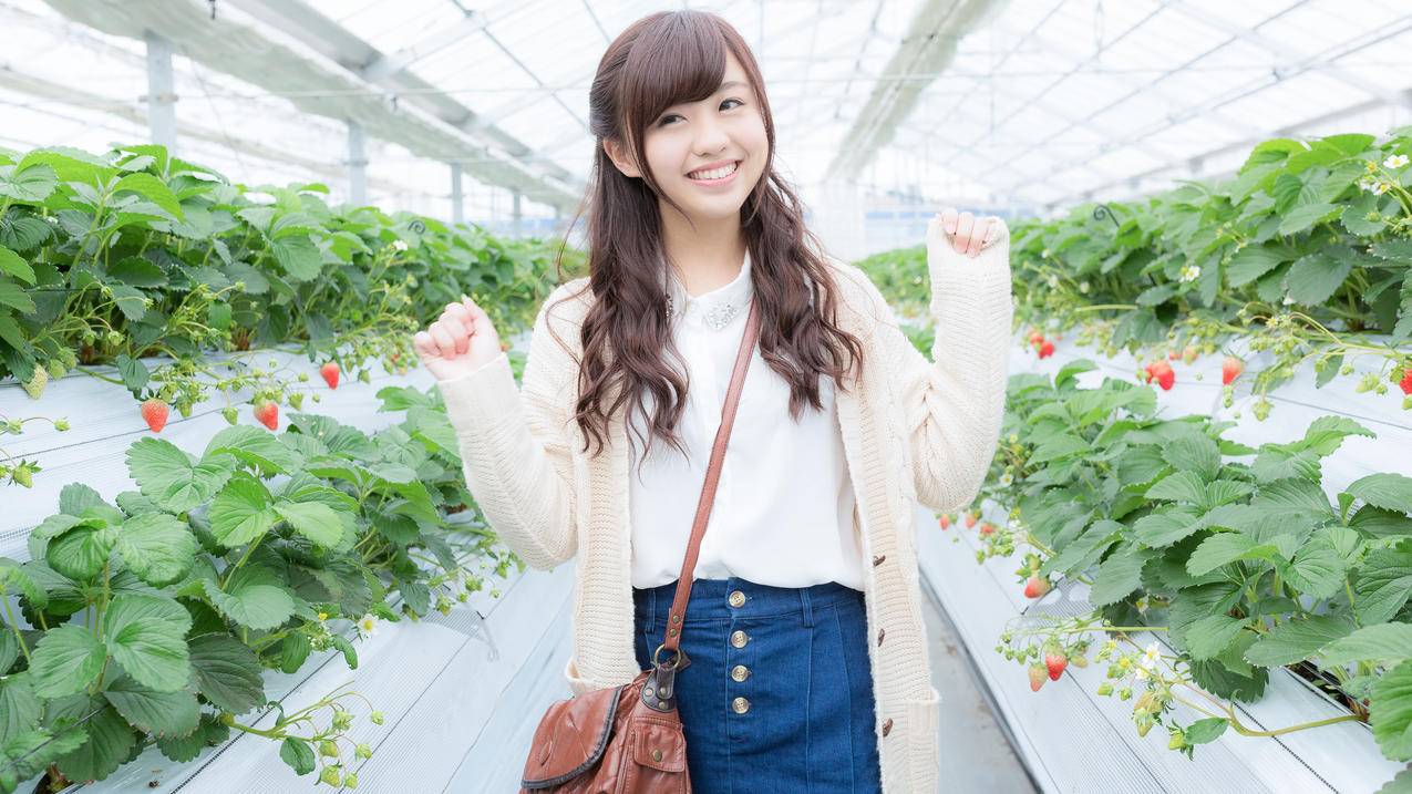 草莓基地里,4K高清美女壁纸