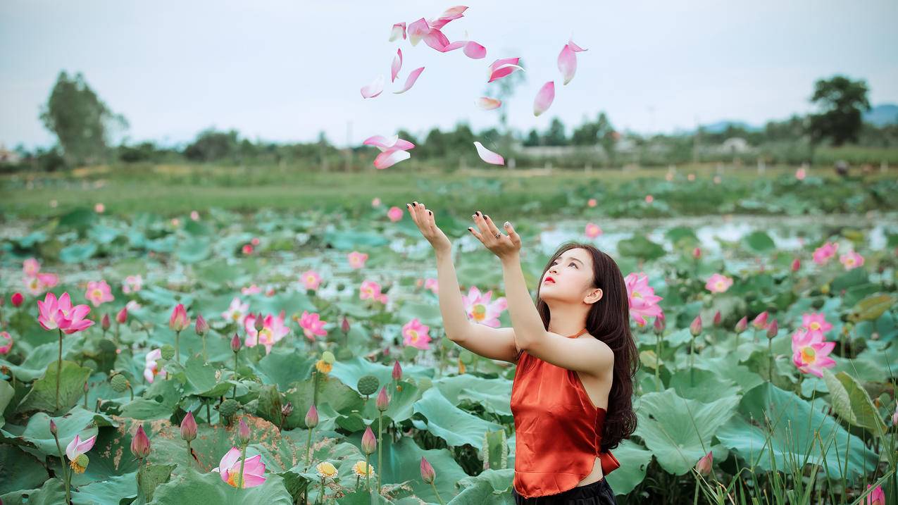 荷花,荷塘,女人扔粉色花瓣,红肚兜,4K高清美女壁纸