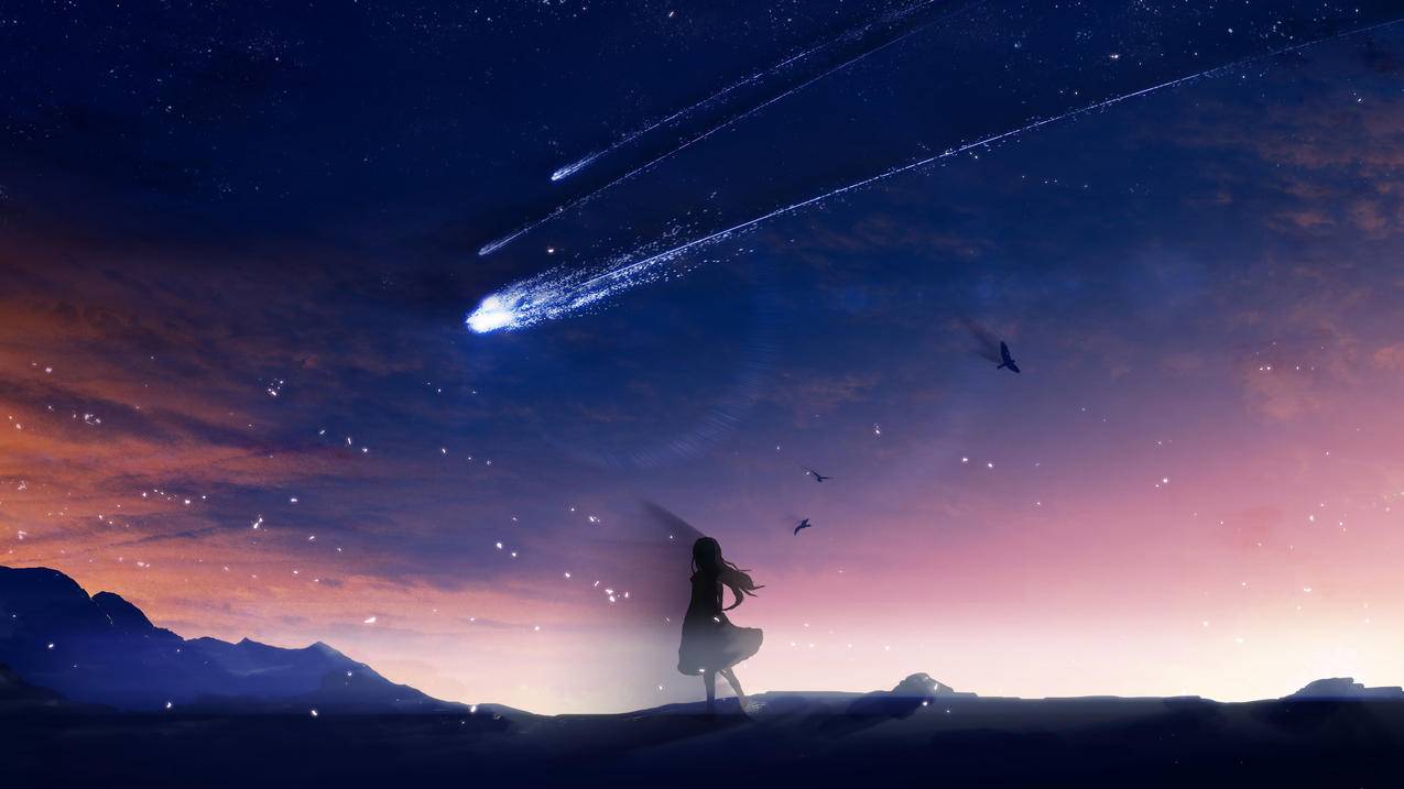 流星,鸟,女,天空,4K高清动漫壁纸