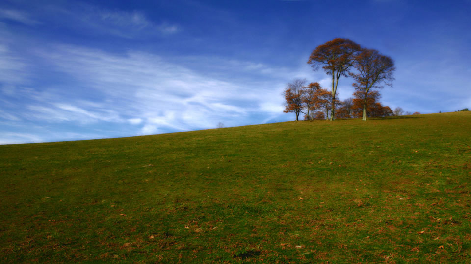 01194_indiantreehill_1920x1080.jpg