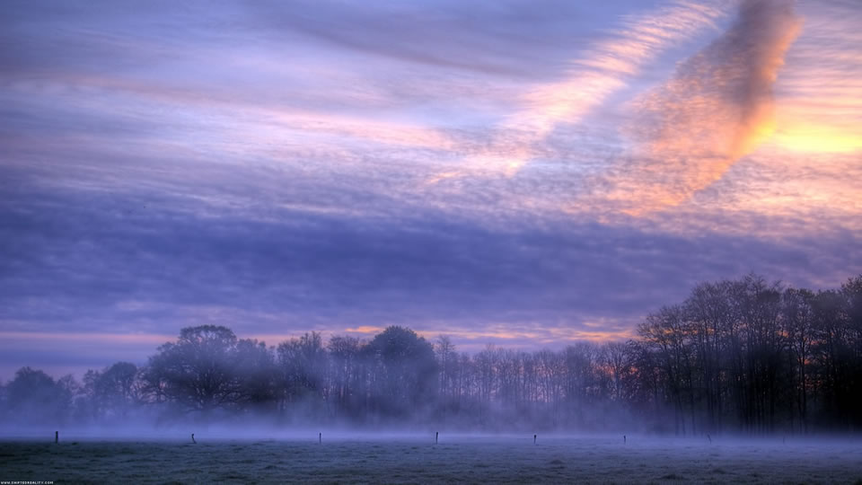 01230_saturdaymorning_1920x1080.jpg