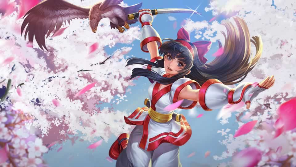 娜可露露-鹰之守护.jpg
